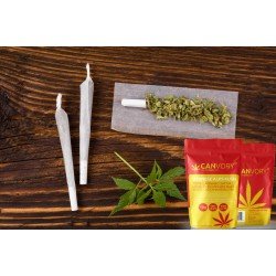 Bernese Alps Kush - 4% CBD Cannabidiol Cannabis aroma incense sticks Bernese Alps Kush - 4% CBD Cannabidiol Cannabis aroma incense sticks