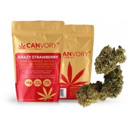 Krazy Strawberry - 3% CBD Cannabidiol Cannabis Buds, 10 gram