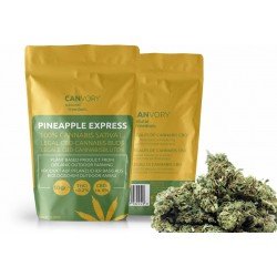 Pineapple Express - 6% CBD Cannabidiol Cannabis Buds, 10 gram Pineapple Express - 6% CBD Cannabidiol Cannabis Buds, 10 gram