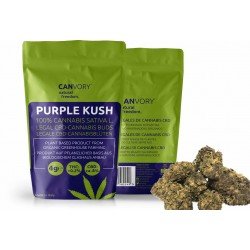 Purple Kush - 8% CBD Cannabidiol Cannabis Buds, 10 gram Purple Kush - 8% CBD Cannabidiol Cannabis Buds, 10 gram