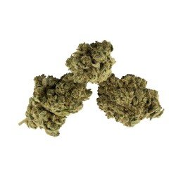 Silver Shaze - 4% CBD Cannabidiol Cannabis Buds, 10 gram Silver Shaze - 4% CBD Cannabidiol Cannabis Buds, 10 gram