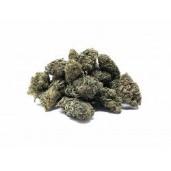 Swiss Alpine - 6% CBD Cannabidiol Cannabis Buds, 10 gram Swiss Alpine - 6% CBD Cannabidiol Cannabis Buds, 10 gram