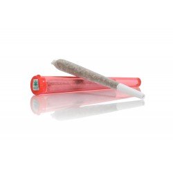 Bernese Alps Kush - 4% CBD Cannabidiol Cannabis aroma incense sticks Bernese Alps Kush - 4% CBD Cannabidiol Cannabis aroma incense sticks