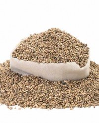 Organic hemp seeds